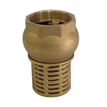 Messing Bodenventil-2" - c / check