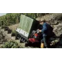 Honda Motortransporter – 500 PS HK BXE – traditionelle Karosserie –