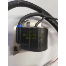 Elektronische Spule – C7-Selectra – Cifarelli 3010103