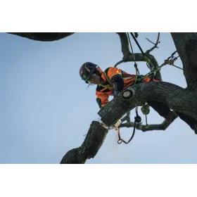 Motosega Husqvarna T540 XP - Barra 12" 325 - Sramatrice