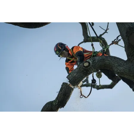 Motosega Husqvarna T540 XP - Barra 12" 325 - Sramatrice