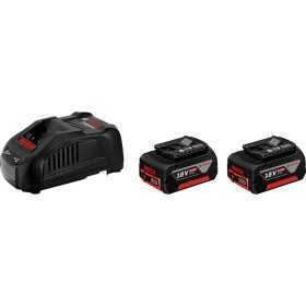 2 Stück – 5-Ah-Batterien + Ladegerät – Gal 1880 PS 18 V –