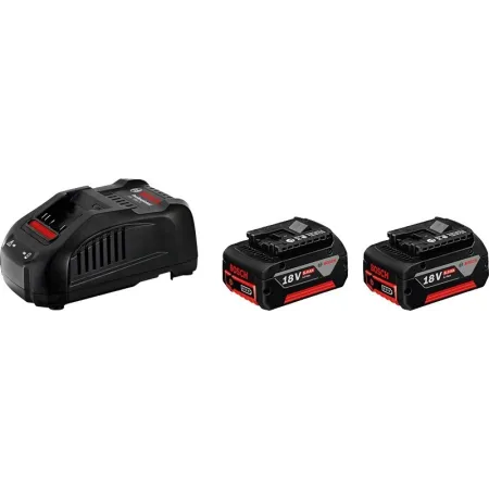 2 Stück – 5-Ah-Batterien + Ladegerät – Gal 1880 PS 18 V –