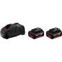 2 Stück – 5-Ah-Batterien + Ladegerät – Gal 1880 PS 18 V –