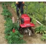 Honda ff 300 de Motorhacke