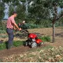 Honda ff 300 de Motorhacke