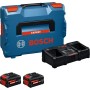 Bosch Expert 8Ah Starterset – 2 Akkus + Box – + Doppelladegerät