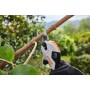 Stihl Gartenschere - SP188 - mit Akku