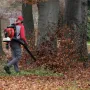 Cifarelli BL1200 Rückengebläse