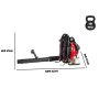 Cifarelli BL1200 Rückentragbares Laubgebläse, 77 cm³ | Fershop