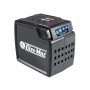 Oleomac-Batterie - 40 V - Bi 5 Ah -