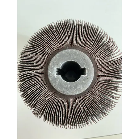 Ruota lamellare - rlf-d.100-gr.60 - rosver-f.19